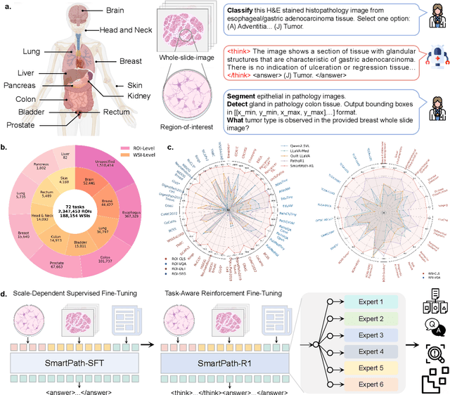 Figure 1 for A Versatile Pathology Co-pilot via Reasoning Enhanced Multimodal Large Language Model