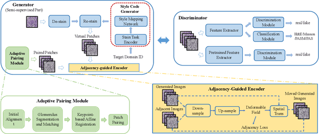 Figure 1 for AGMDT: Virtual Staining of Renal Histology Images with Adjacency-Guided Multi-Domain Transfer
