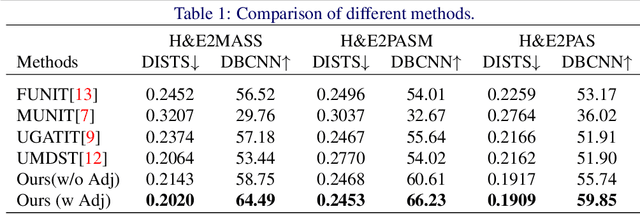 Figure 2 for AGMDT: Virtual Staining of Renal Histology Images with Adjacency-Guided Multi-Domain Transfer