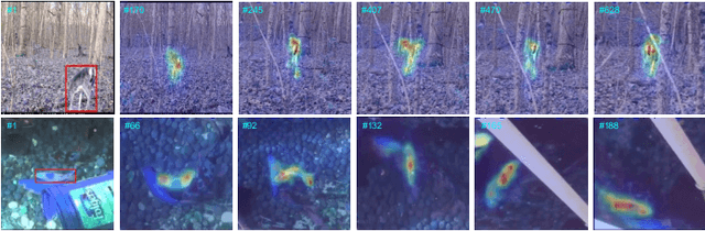 Figure 2 for Towards Universal Modal Tracking with Online Dense Temporal Token Learning