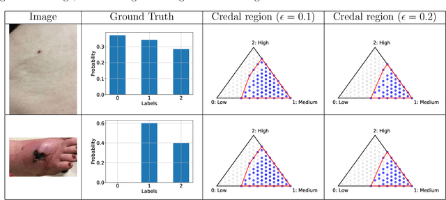 Figure 2 for Conformalized Credal Regions for Classification with Ambiguous Ground Truth