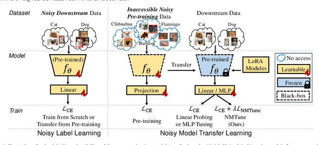 Figure 1 for Learning with Noisy Foundation Models