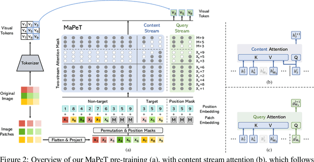 Figure 3 for Learning to Mask and Permute Visual Tokens for Vision Transformer Pre-Training