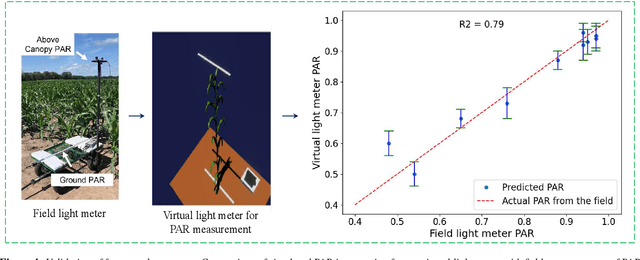 Figure 4 for Accessing the Effect of Phyllotaxy and Planting Density on Light Use Efficiency in Field-Grown Maize using 3D Reconstructions