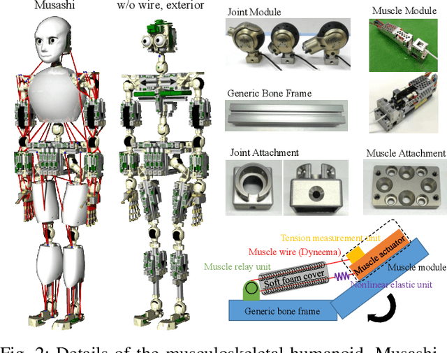 Figure 2 for Task-specific Self-body Controller Acquisition by Musculoskeletal Humanoids: Application to Pedal Control in Autonomous Driving