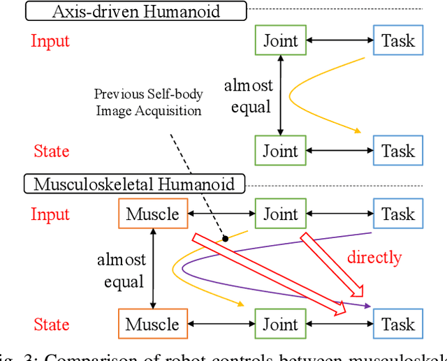 Figure 3 for Task-specific Self-body Controller Acquisition by Musculoskeletal Humanoids: Application to Pedal Control in Autonomous Driving