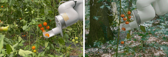 Figure 1 for Gazebo Plants: Simulating Plant-Robot Interaction with Cosserat Rods
