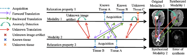 Figure 1 for Modality Cycles with Masked Conditional Diffusion for Unsupervised Anomaly Segmentation in MRI