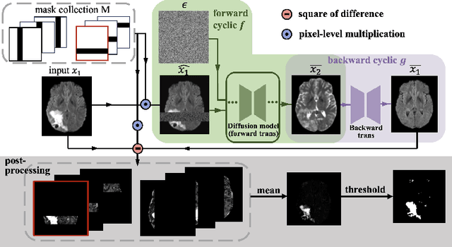 Figure 3 for Modality Cycles with Masked Conditional Diffusion for Unsupervised Anomaly Segmentation in MRI