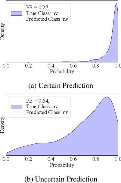 Figure 1 for Uncertainty-Aware Deep Learning for Automated Skin Cancer Classification: A Comprehensive Evaluation