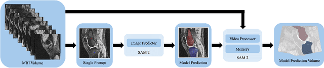 Figure 1 for Novel adaptation of video segmentation to 3D MRI: efficient zero-shot knee segmentation with SAM2