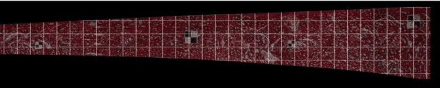 Figure 3 for Displacement field calculation of large-scale structures using computer vision with physical constraints