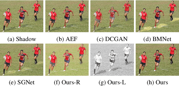 Figure 1 for Recasting Regional Lighting for Shadow Removal