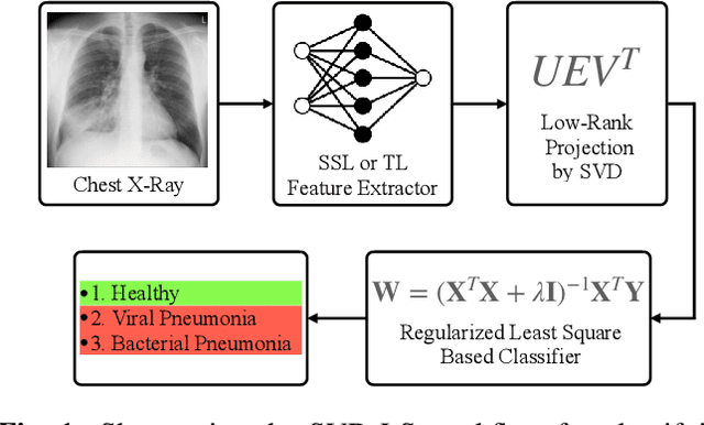 Figure 1 for SVD Based Least Squares for X-Ray Pneumonia Classification Using Deep Features