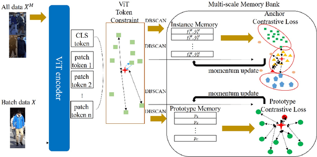 Figure 3 for TCMM: Token Constraint and Multi-Scale Memory Bank of Contrastive Learning for Unsupervised Person Re-identification