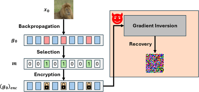 Figure 1 for Evaluating Selective Encryption Against Gradient Inversion Attacks