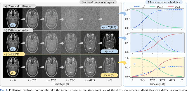 Figure 1 for Self-Consistent Recursive Diffusion Bridge for Medical Image Translation