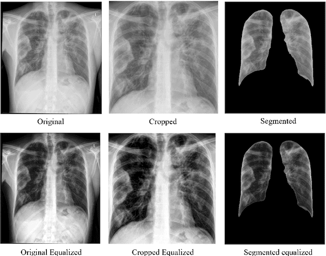Figure 3 for From Lab to Pocket: A Novel Continual Learning-based Mobile Application for Screening COVID-19