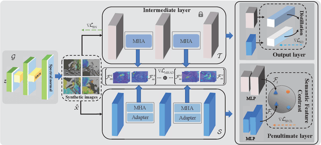 Figure 1 for Data-free Knowledge Distillation for Fine-grained Visual Categorization