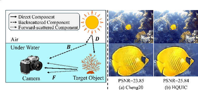 Figure 1 for High Quality Underwater Image Compression with Adaptive Correction and Codebook-based Augmentation