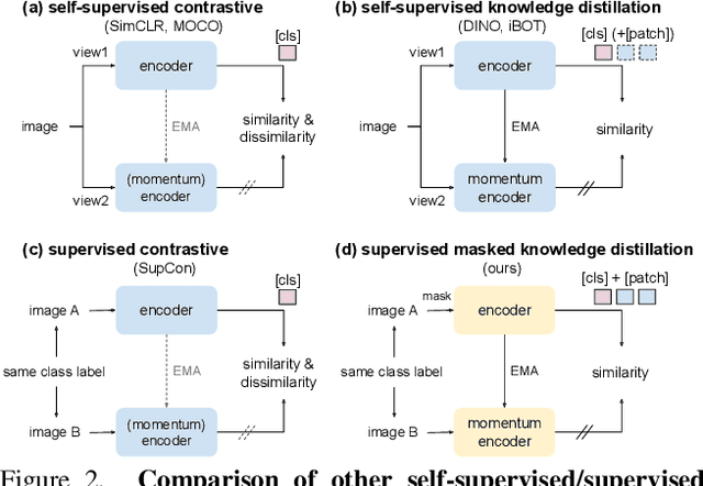 Figure 3 for Supervised Masked Knowledge Distillation for Few-Shot Transformers