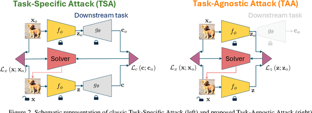 Figure 3 for Task-Agnostic Attacks Against Vision Foundation Models