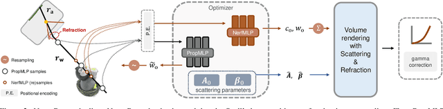 Figure 2 for NeuroPump: Simultaneous Geometric and Color Rectification for Underwater Images
