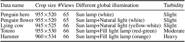 Figure 1 for NeuroPump: Simultaneous Geometric and Color Rectification for Underwater Images