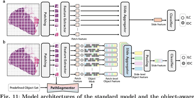 Figure 2 for Segment Anything in Pathology Images with Natural Language