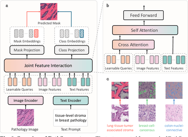 Figure 3 for Segment Anything in Pathology Images with Natural Language