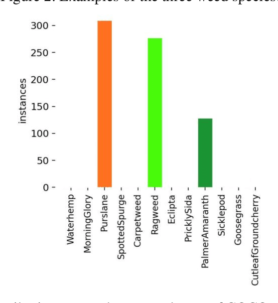 Figure 3 for Stable diffusion for Data Augmentation in COCO and Weed Datasets