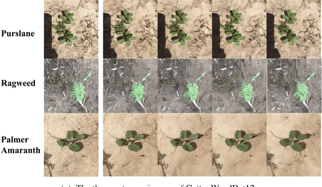 Figure 4 for Stable diffusion for Data Augmentation in COCO and Weed Datasets