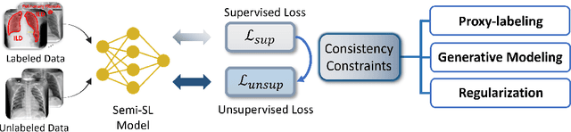 Figure 3 for Label-Efficient Deep Learning in Medical Image Analysis: Challenges and Future Directions