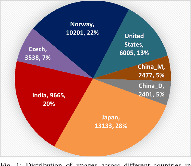 Figure 1 for Crowdsensing-based Road Damage Detection Challenge (CRDDC-2022)