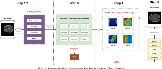 Figure 2 for From Images to Insights: Transforming Brain Cancer Diagnosis with Explainable AI