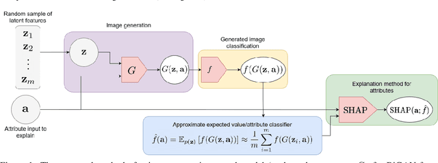 Figure 1 for Causal Generative Explainers using Counterfactual Inference: A Case Study on the Morpho-MNIST Dataset