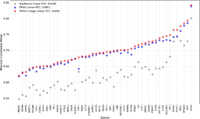 Figure 3 for Teaching pathology foundation models to accurately predict gene expression with parameter efficient knowledge transfer