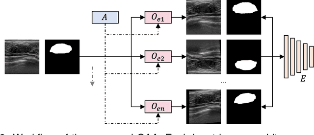 Figure 3 for Segmenting Medical Images with Limited Data