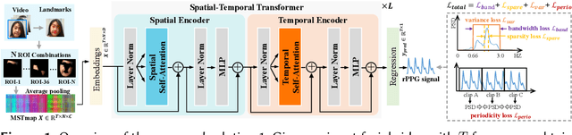 Figure 1 for Joint Spatial-Temporal Modeling and Contrastive Learning for Self-supervised Heart Rate Measurement