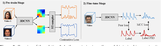 Figure 3 for Joint Spatial-Temporal Modeling and Contrastive Learning for Self-supervised Heart Rate Measurement