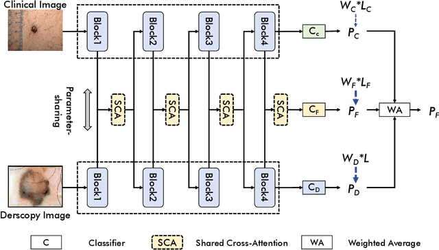 Figure 3 for Single-Shared Network with Prior-Inspired Loss for Parameter-Efficient Multi-Modal Imaging Skin Lesion Classification