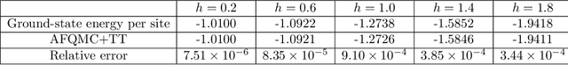 Figure 1 for Combining Particle and Tensor-network Methods for Partial Differential Equations via Sketching