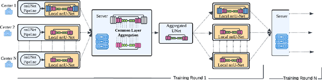 Figure 2 for Federated nnU-Net for Privacy-Preserving Medical Image Segmentation