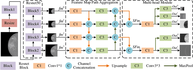 Figure 1 for Multi-Head Feature Pyramid Networks for Breast Mass Detection