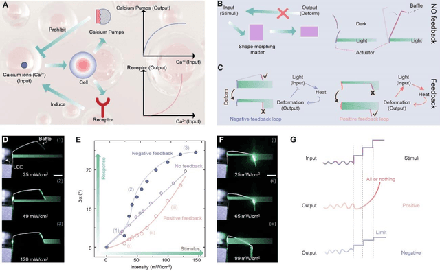 Figure 1 for Feedback Regulated Opto-Mechanical Soft Robotic Actuators