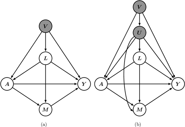 Figure 1 for Proximal Inference on Population Intervention Indirect Effect