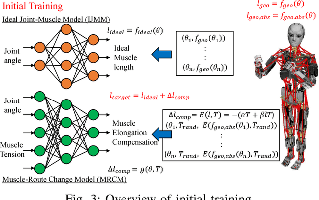 Figure 3 for Online Self-body Image Acquisition Considering Changes in Muscle Routes Caused by Softness of Body Tissue for Tendon-driven Musculoskeletal Humanoids