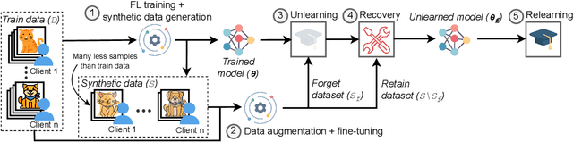 Figure 1 for QuickDrop: Efficient Federated Unlearning by Integrated Dataset Distillation