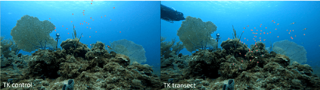 Figure 3 for Measuring and Minimizing Disturbance of Marine Animals to Underwater Vehicles