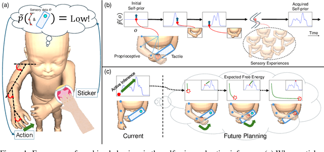 Figure 1 for Emergence of Goal-Directed Behaviors via Active Inference with Self-Prior